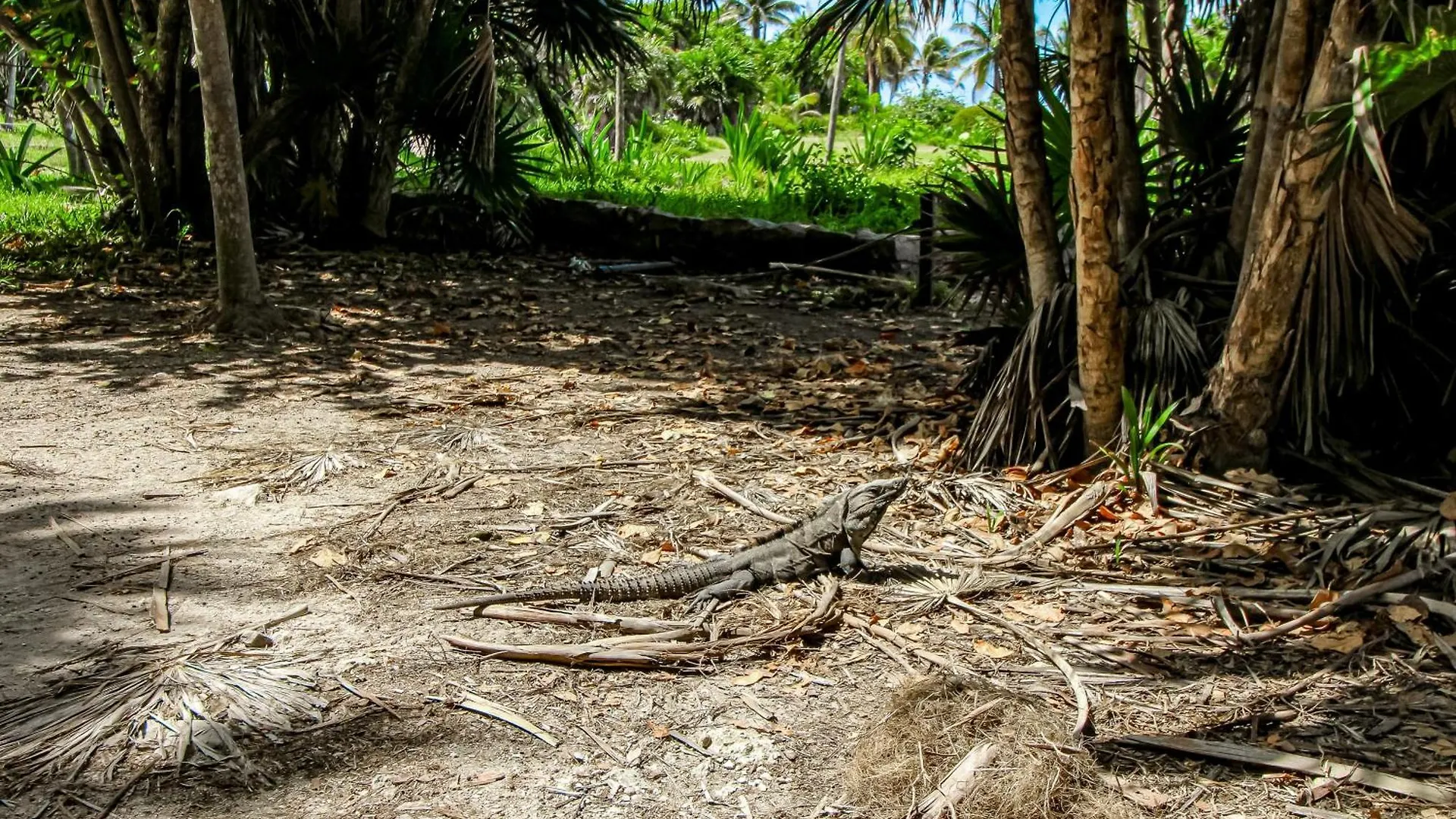 Apartmán Fronds And Sun At Toh 11 Tulum